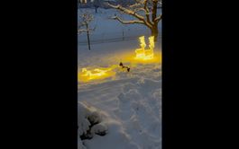 ED 2 Rentiere mit Schlitten – Weihnachtsbeleuchtung Outdoor