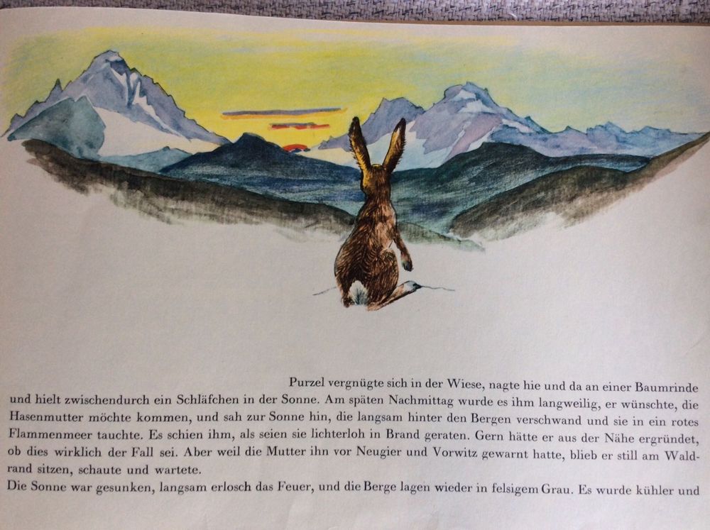 50er Jahre Kinderbuch Buch Bilderbuch Kaufen auf Ricardo