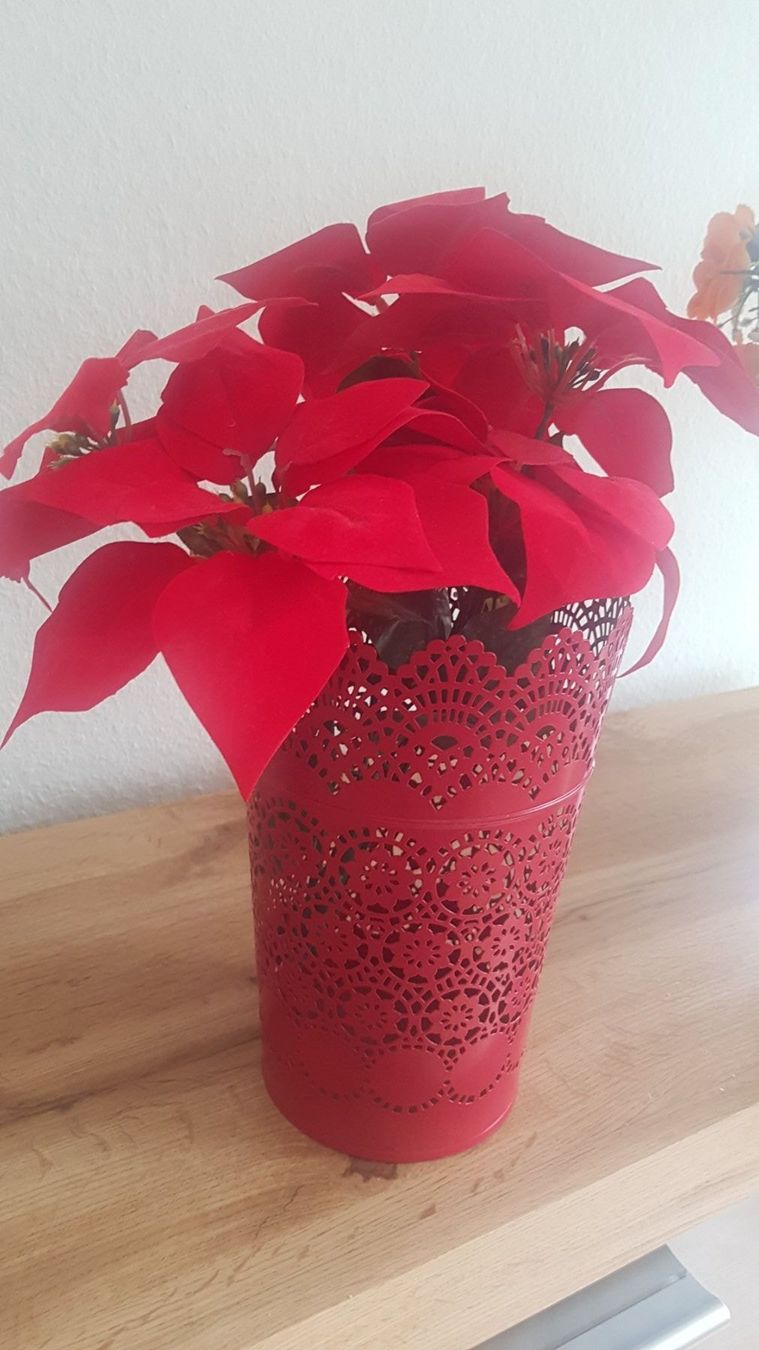 Vasi per fiori: Paar dekorative Vasen, von Kunstblumen – Usato da Schöfflisdorf venduto da CrRG21 4