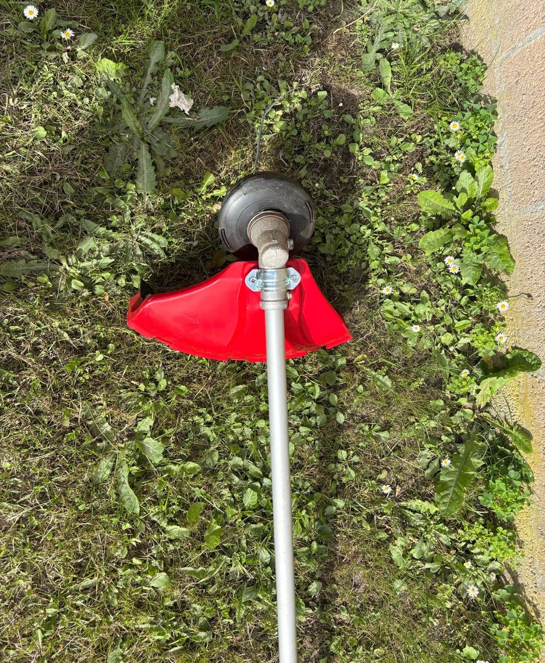 Jonsered Tagliaerba: Rasentrimmer Jonsered BP 2053 – Usato da Grono venduto da laz_nx8q 2