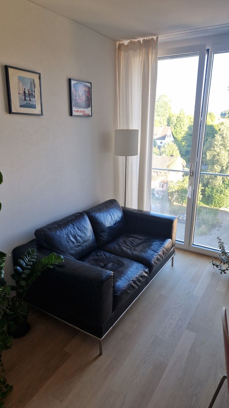 Sofas: Ledersofa 2er – Gebraucht aus Wetzikon ZH von wer_jas 4