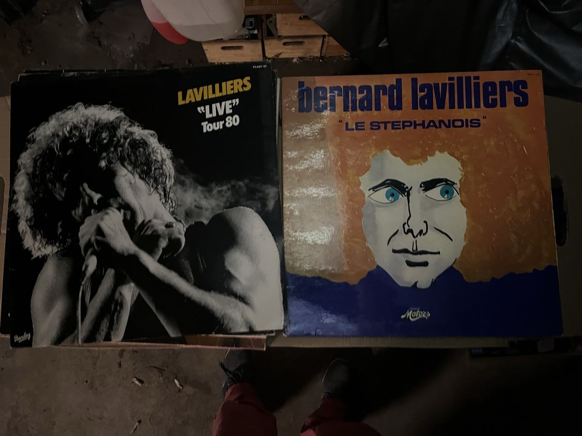 Dischi in vinile: 6Vinyles Bernard Lavilliers 33 t – Usato da Chambésy venduto da ggr_yg5d 2
