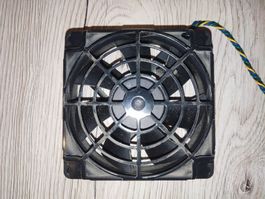 Foxconn PC Lüfter 12V 0.4A PVA092G12H