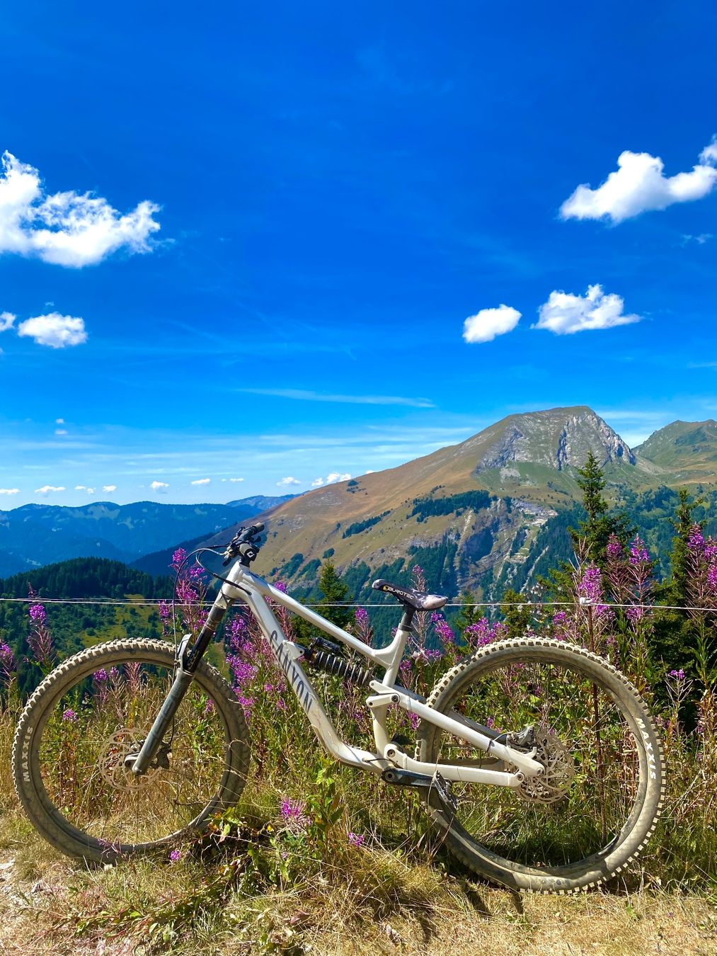 Canyon torque 29 AL (D'occasion) à Hettiswil pour CHF 2200