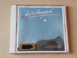 Karunesh Skys Beyond