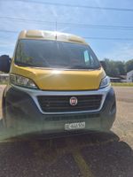 Fiat Ducato 2.3 Multijet MAXI – gepflegt – ab MFK