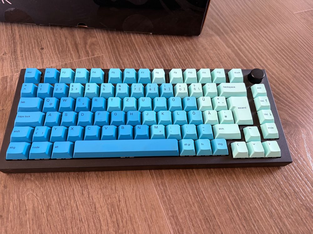 GMMK Pro - Panda Switches - PBT-Keycaps - Spiralkabel (Gebraucht) in ...