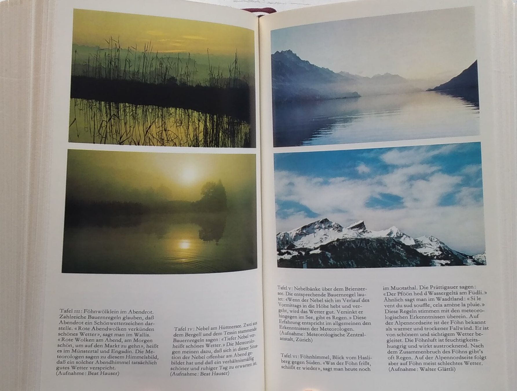 Libri: Standardwerk: 700 Seiten Schweizer Bauernregeln (1973) – Usato da Bern venduto da Mattthias 4