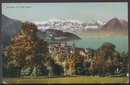Vitznau  und  gir  Alpen