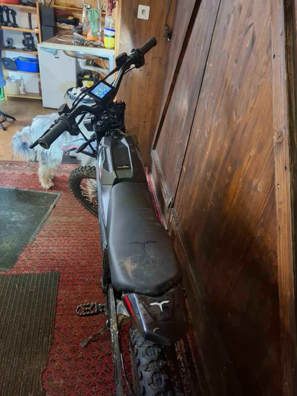 Veicoli elettrici: Talaria elektrisches Motorrad – Nuovo (secondo la descrizione) da Untervaz venduto da cte_2rx2 1