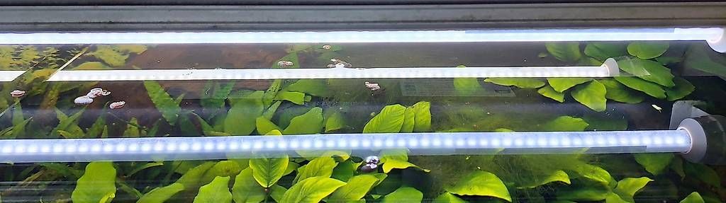 Acquari: Aquarium 300 litres avec meuble (sans décors ni poissons) – Usato da Pontenet venduto da Millia 1