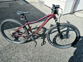 SCOTT Contessa Active 20  Damen-MTB – Grösse S – Top Zustand