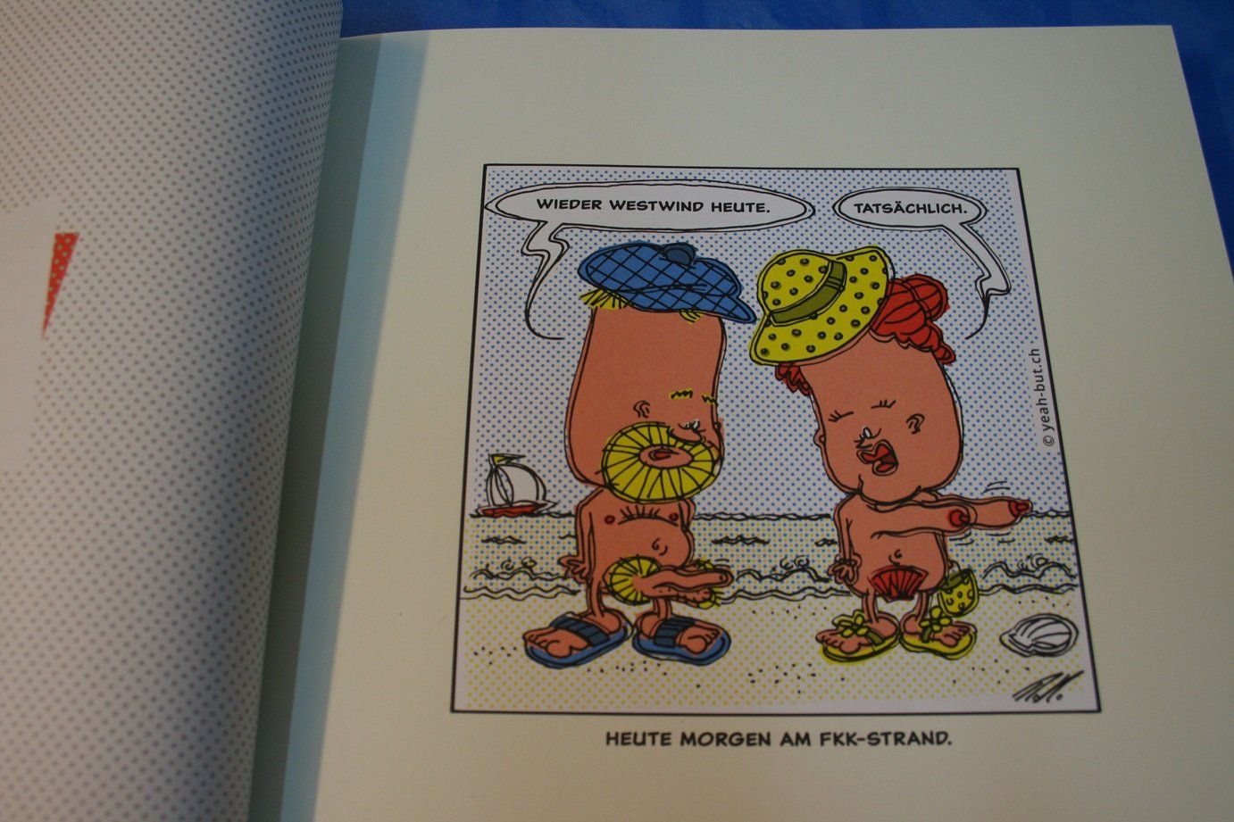 Livres: Buch "Yeah! But …" - Simon Libsig – Neuf (Voir description) à Wettingen par zibi137 2