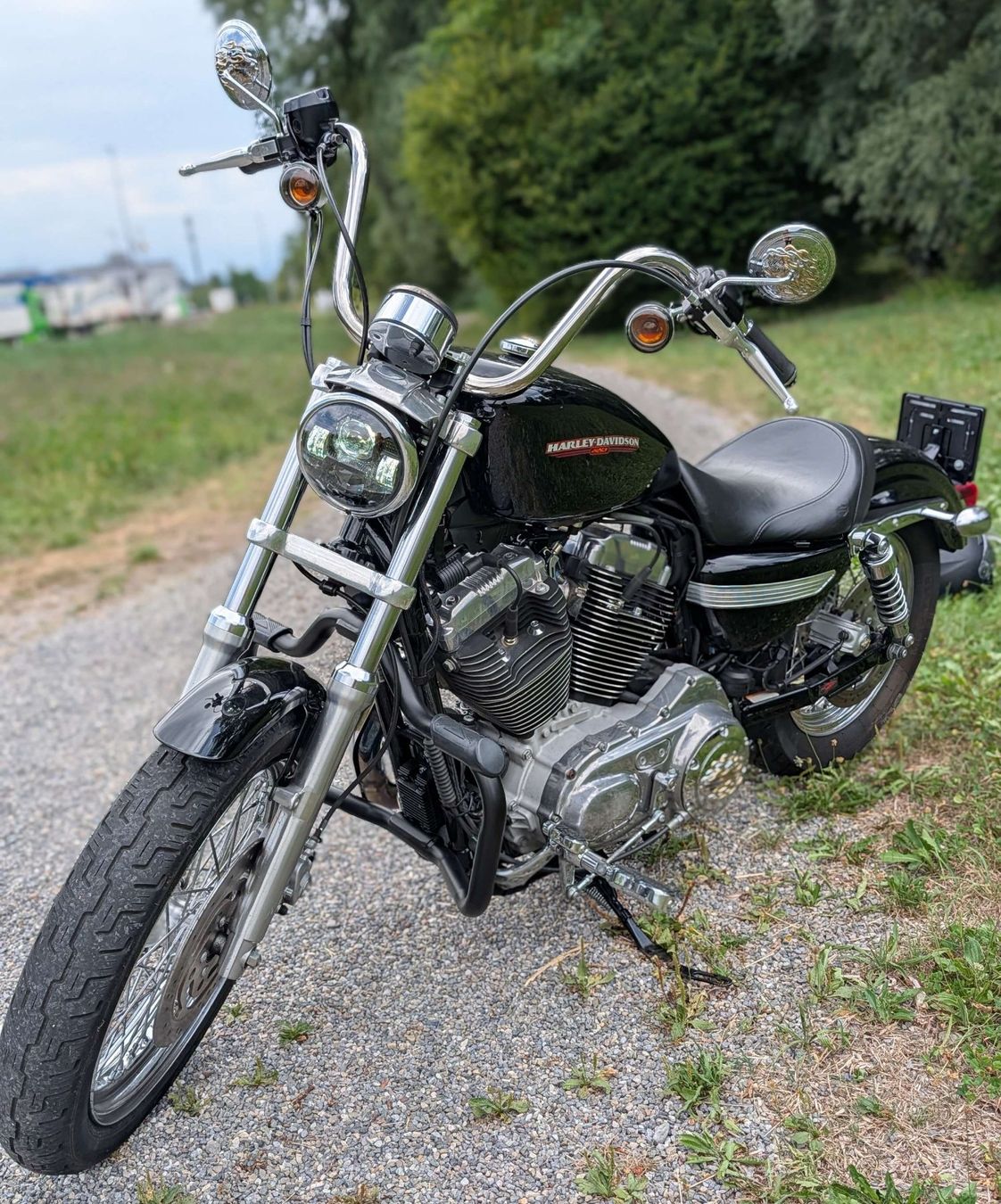 Harley-Davidson Chopper: Harley Davidson XL883 L, 2006 – Usato da Bonstetten venduto da mh2_d8k5