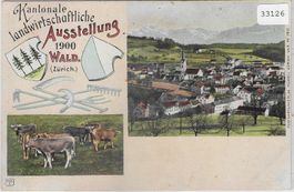 Kant. landwirtschaftliche Ausstellung Wald 1900