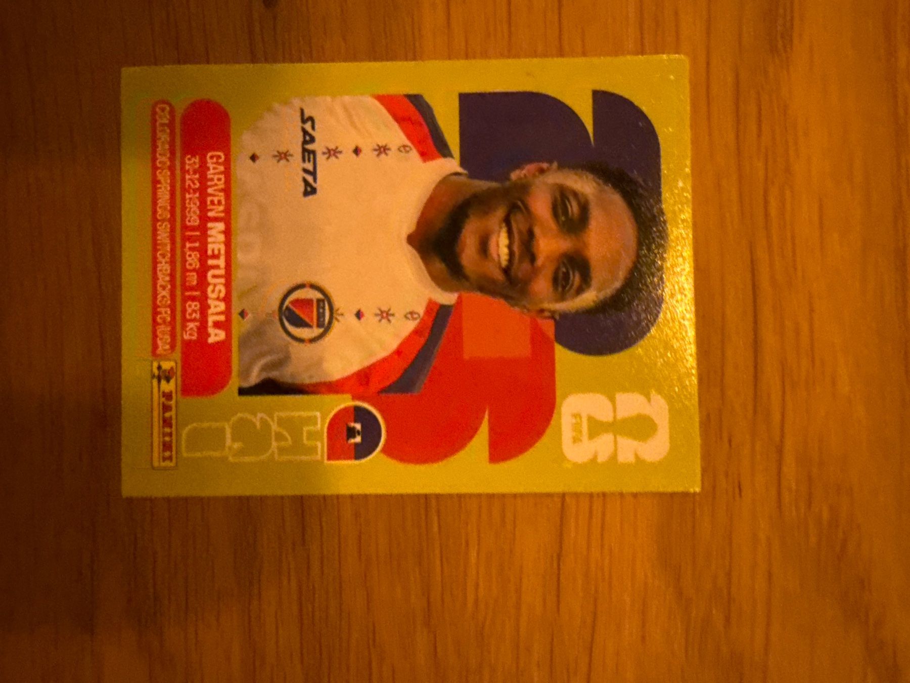 Panini Carte collezionabili: Panini – Usato da Langnau i. E. venduto da Acrjl