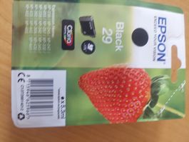Druckerpatronen   EPSON     29