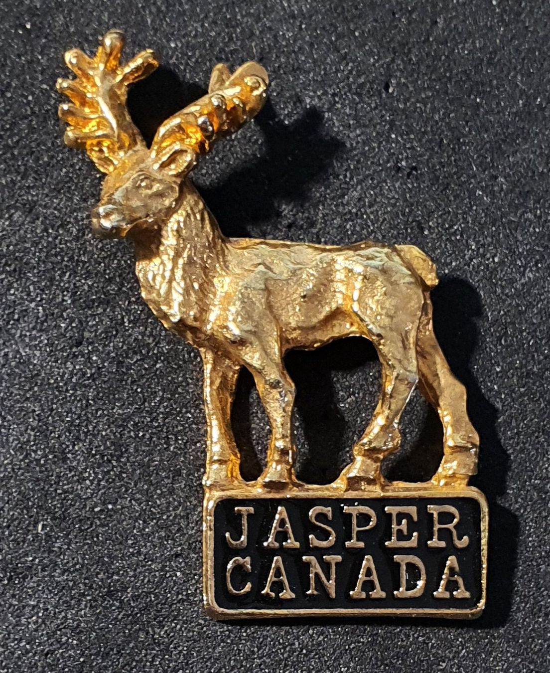 Placchette & Badge: CC137 - Pin Hirsch JASPER CANADA – Usato da Reinach BL venduto da Boston-Verkauf