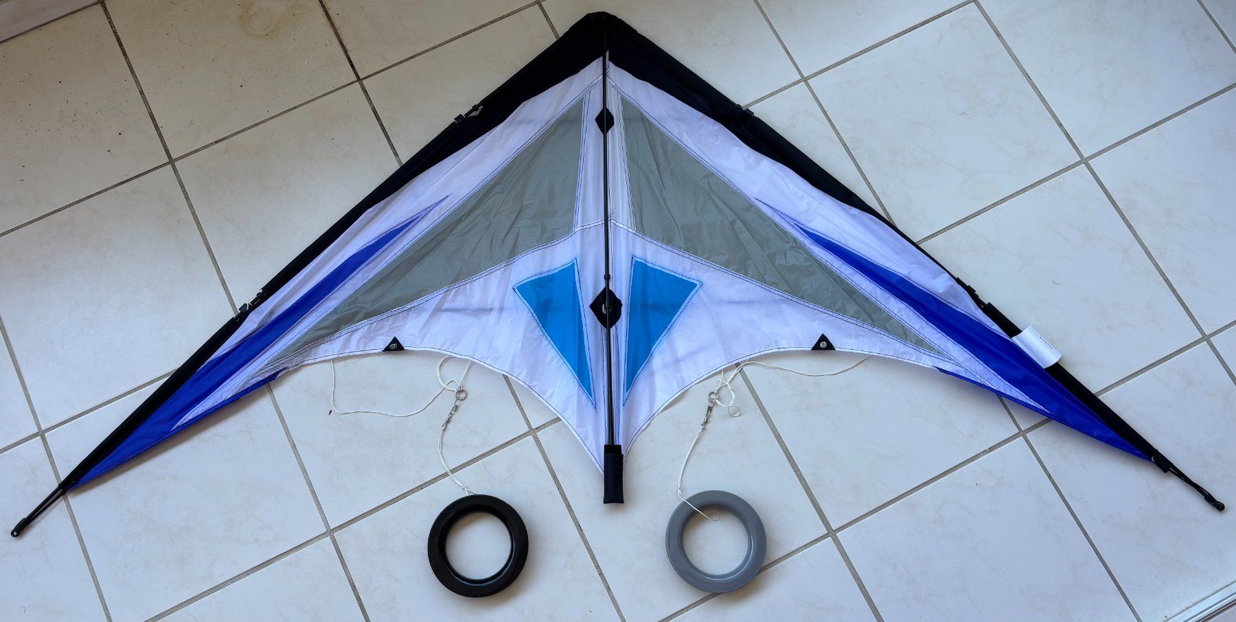 Kite: Flugdrache - Delta Lenkdrache - Flash 170 CX -170 x 82 cm – Gebraucht aus Rheinfelden von sabine0101 1