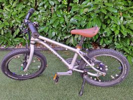 Early rider Kinder Velo 16 zoll