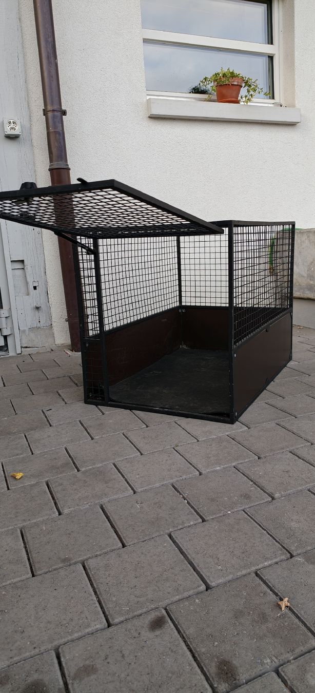 Käfige, Transport & Sicherheit: Hundebox gross – Gebraucht aus Marthalen von TollwutBiber 5