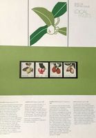 1986 Singapur - Lokale Früchte **