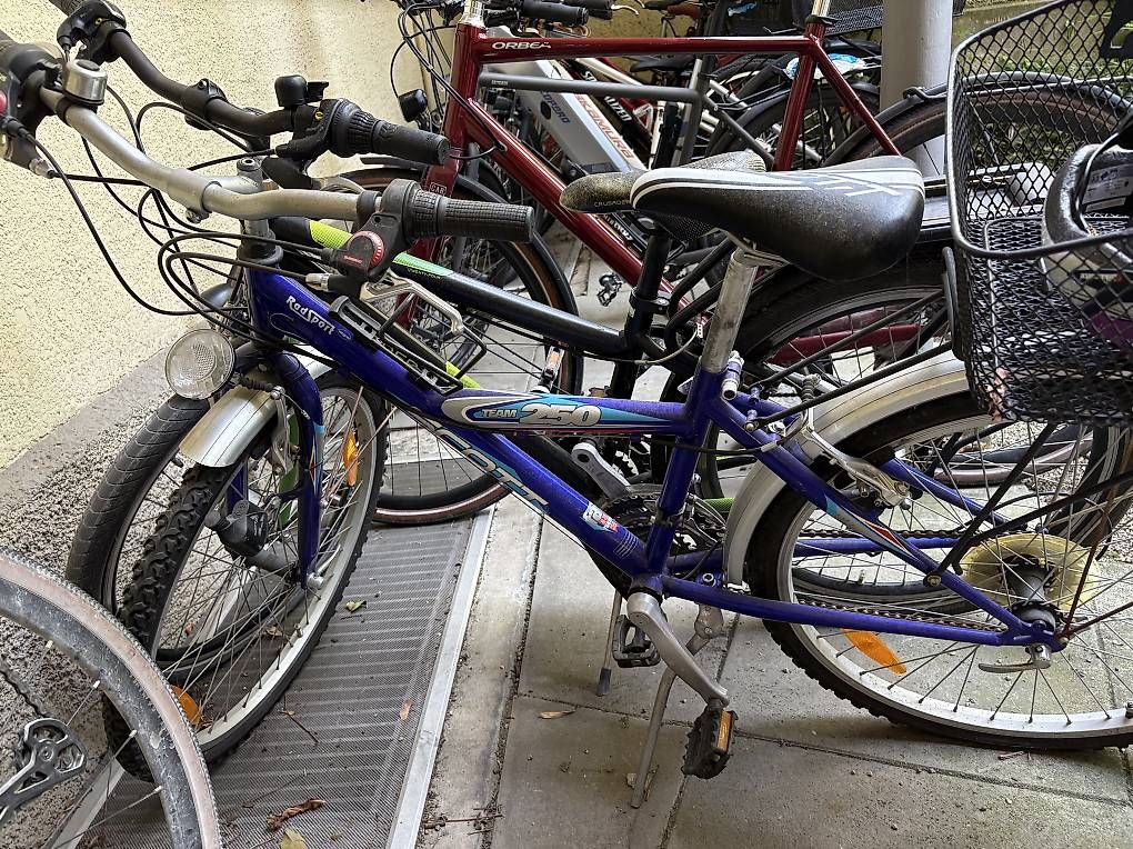 Scott Velos: Kids bike 24' Scott – Gebraucht aus Basel von LuigiBasel