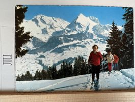 AK von Säntis Schafberg / Obertoggenburg