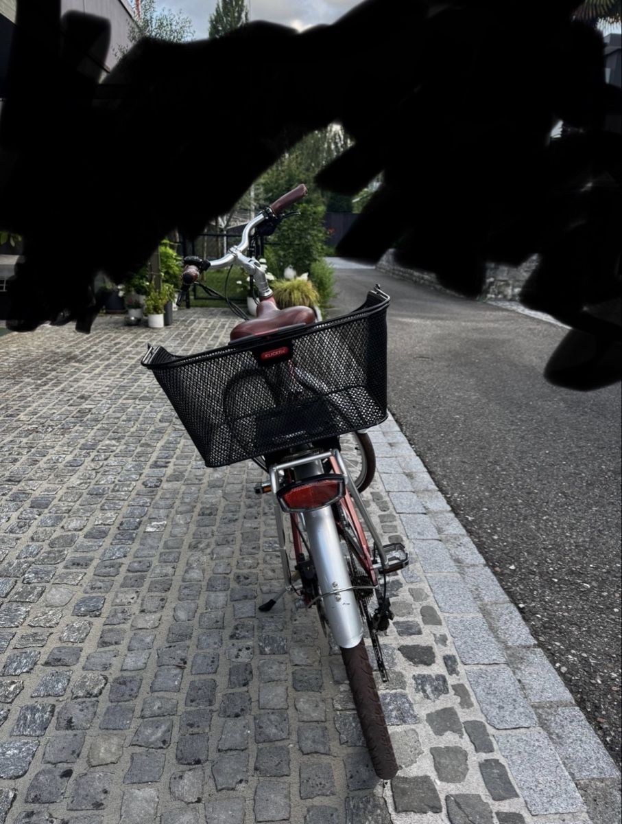 Biciclette: E-Bike City Allegro ACIL – Usato da Wallbach venduto da premiumcc999 4