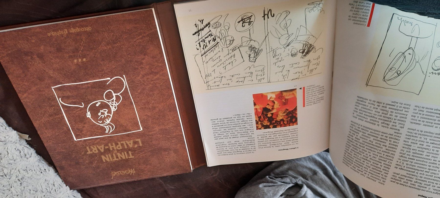 Fumetti: L'œuvre intégrale Hergé – Nuovo (secondo la descrizione) da Rennaz venduto da Loraccar 3