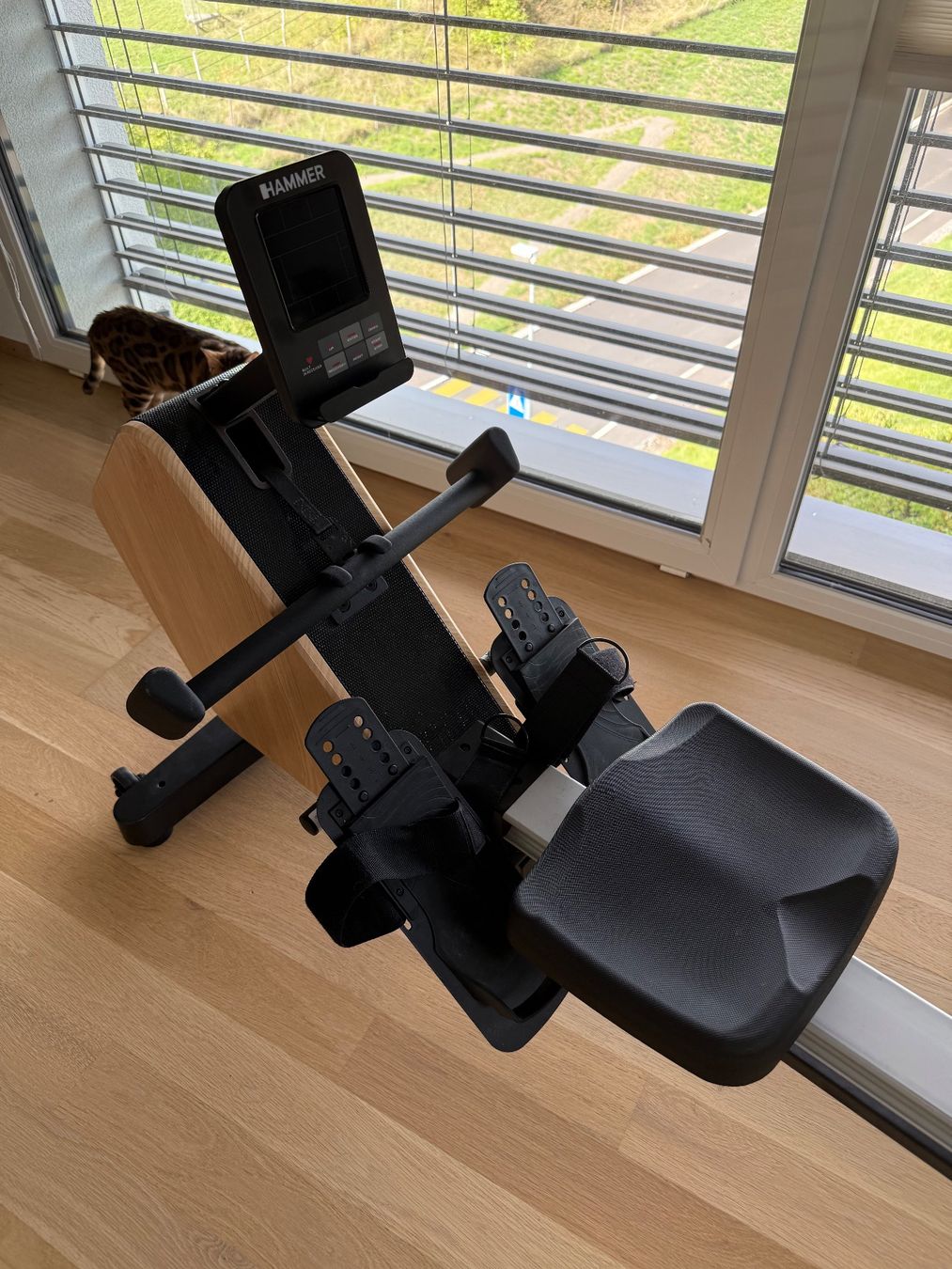 Hometrainer: Rameur Hammer RowTech avec écran digital état impeccable – Usato da Founex venduto da epicure44 1