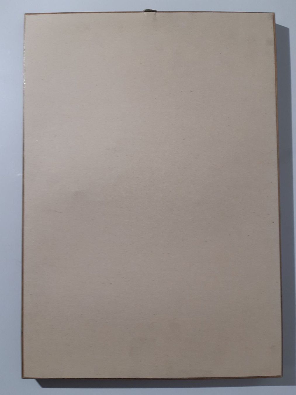Grafica & Litografie: Litho Handeck – Usato da Grindelwald venduto da carro5 3