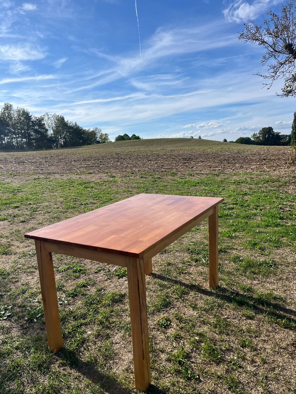 Tische: Tisch Massiv Hartholz – Gebraucht aus Allmendingen b. BE von juair 7