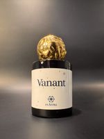 In Astra | Vanant