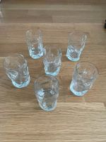 ✨✨ 8x Schnapsgläser / Likörgläser – Glas ✨✨