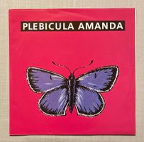 Plebicula, Amanda CH Punk
