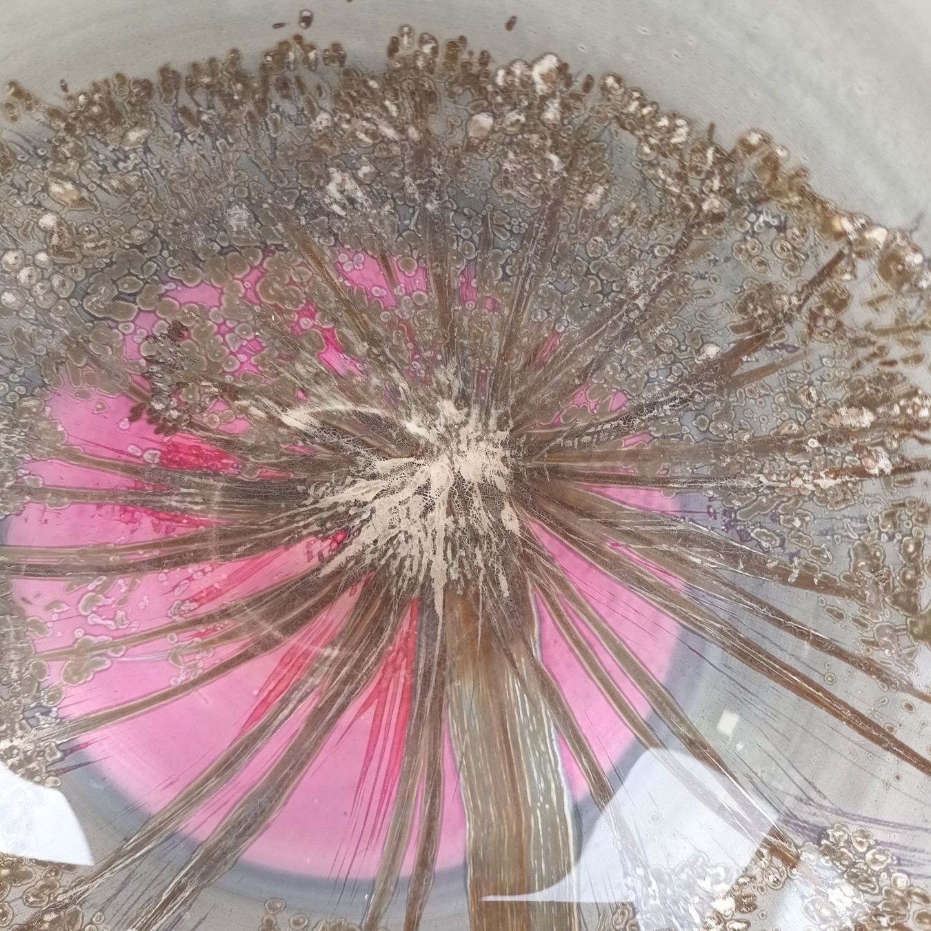 Ciotole: Vintage Schüssel mit Gemälde – Usato da Bäretswil venduto da ricoric 2
