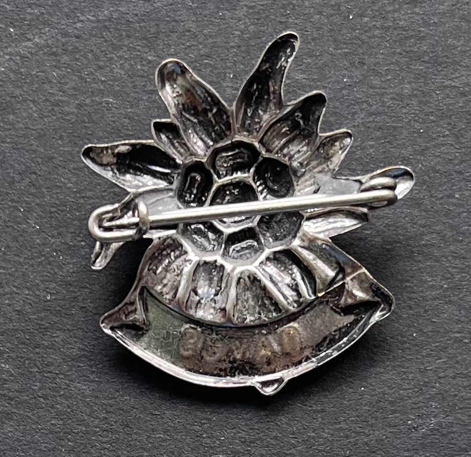 Edelweiss Placchette & Badge: Davos Edelweiss Anstecker , Vintage – Usato da Ostermundigen venduto da DaxKarten-75 1