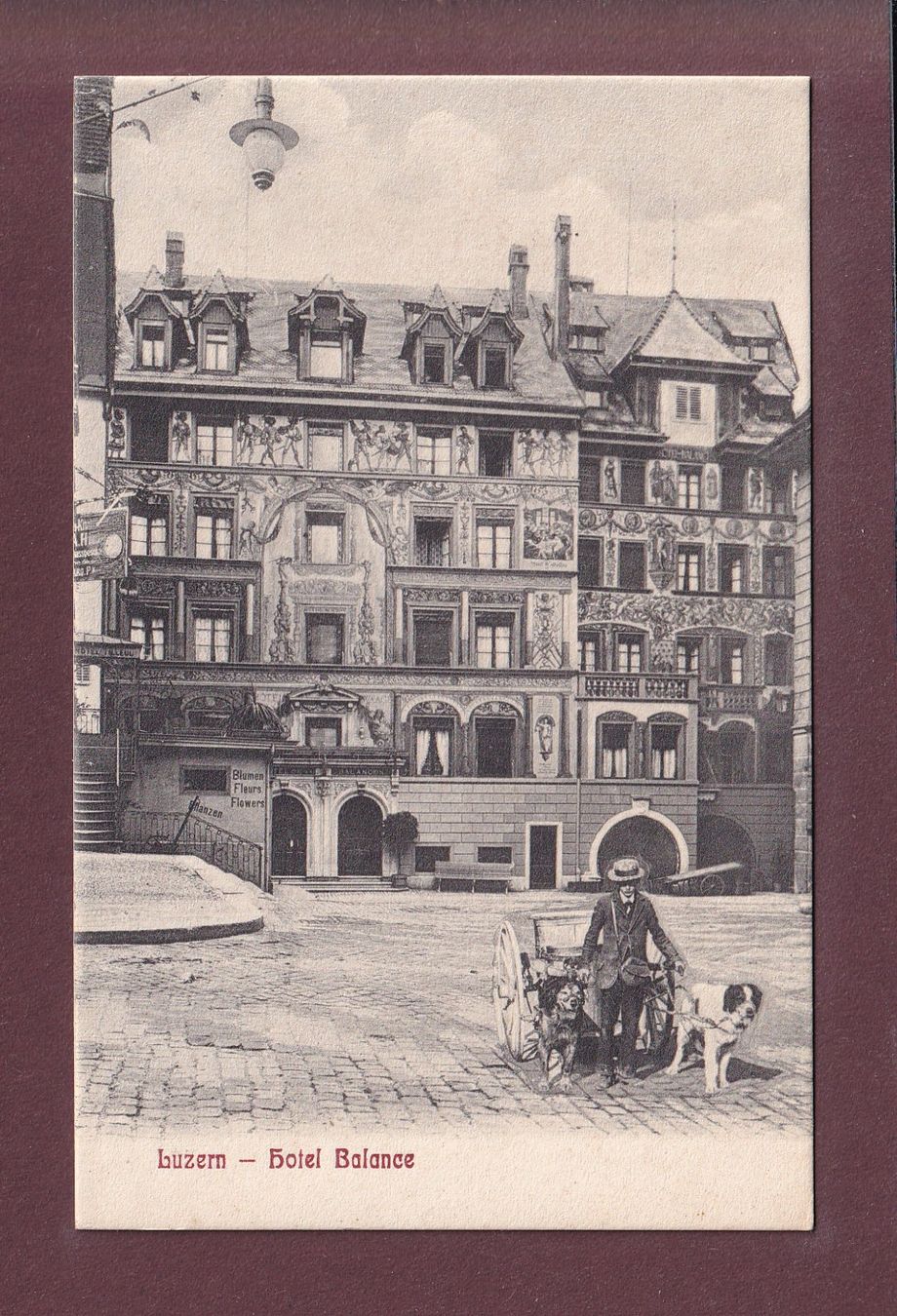 Cartoline postali: LUZERN - Hotel Balance - Hund Kutsche – Usato da Pully venduto da nicecards-shop