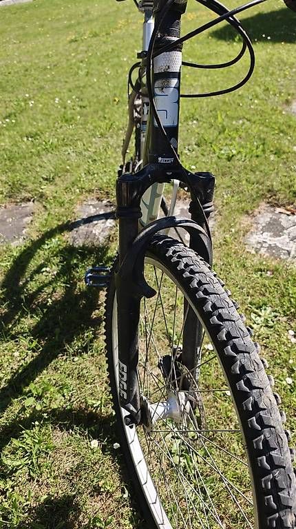 Biciclette: Mountainbike Arrow – Usato da Thun venduto da Moggo 4