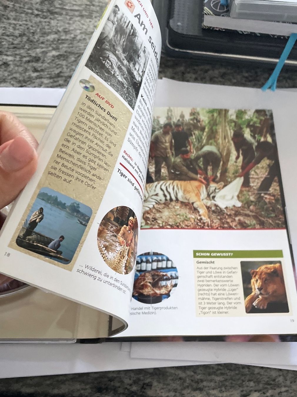 Alle DVDs: DVD inklusive HEFT / Tiger der Sümpfe – Gebraucht aus Urdorf von Anassor 3