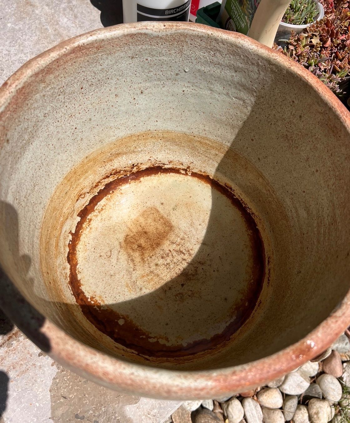 Vasi per fiori: Planter – Nuovo (secondo la descrizione) da Lausanne venduto da NYC67 6