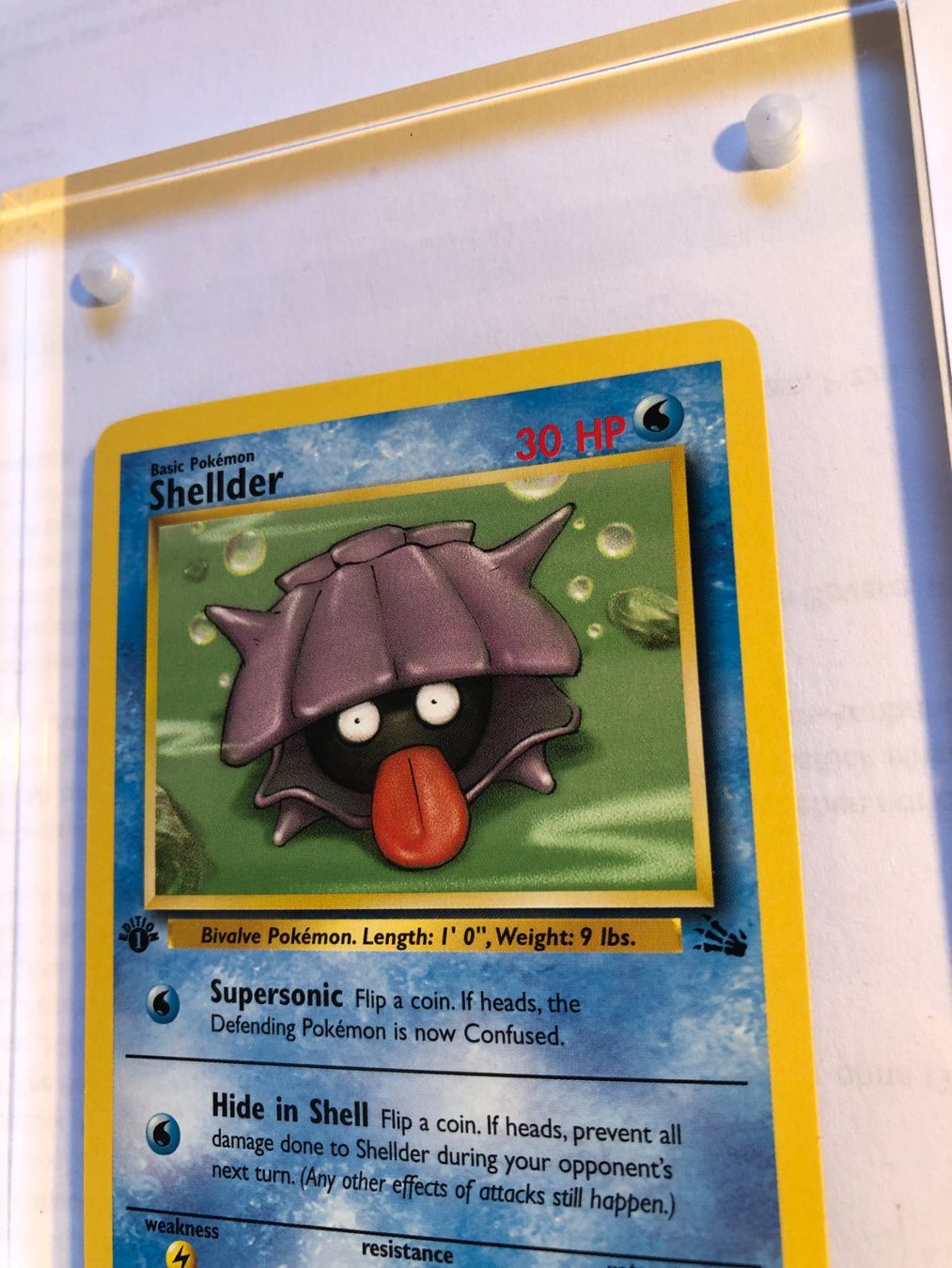 Carte collezionabili: Shellder 1st Fossil - MINT - ab 1.- – Usato da Giubiasco venduto da dan_pr8b 3