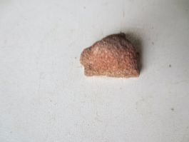 Versteinerungen schpeziel