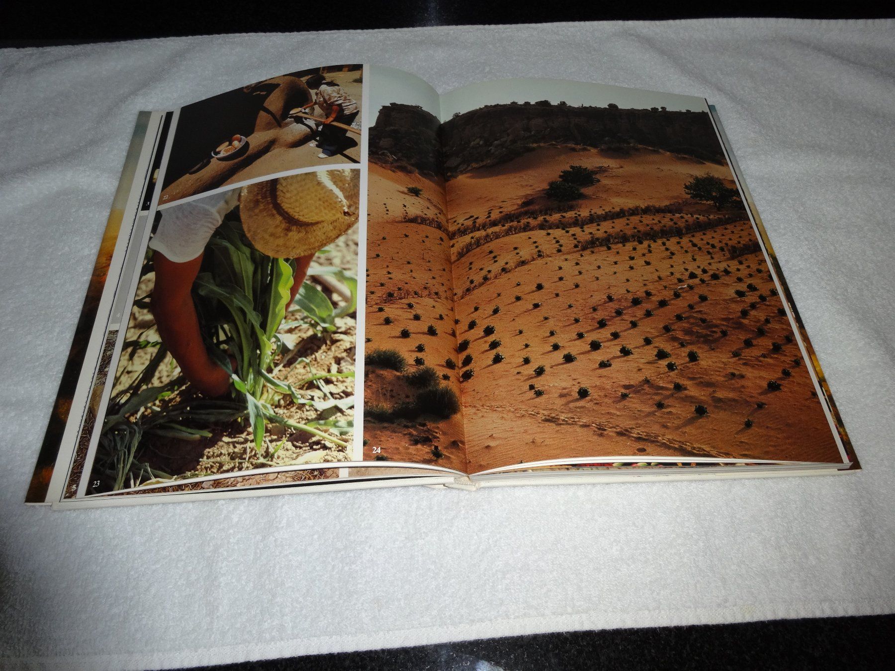 Libri: Indianer Nordamerikas – Usato da Neerach venduto da jenny062 5