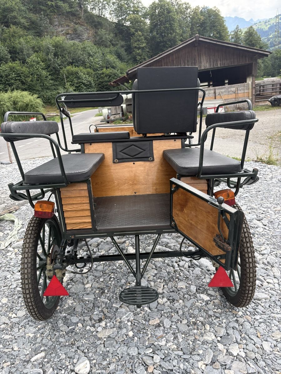 Calèches: Wagonette Planwagen Kutsche – D'occasion à Fürstenaubruck par Reddog6 3