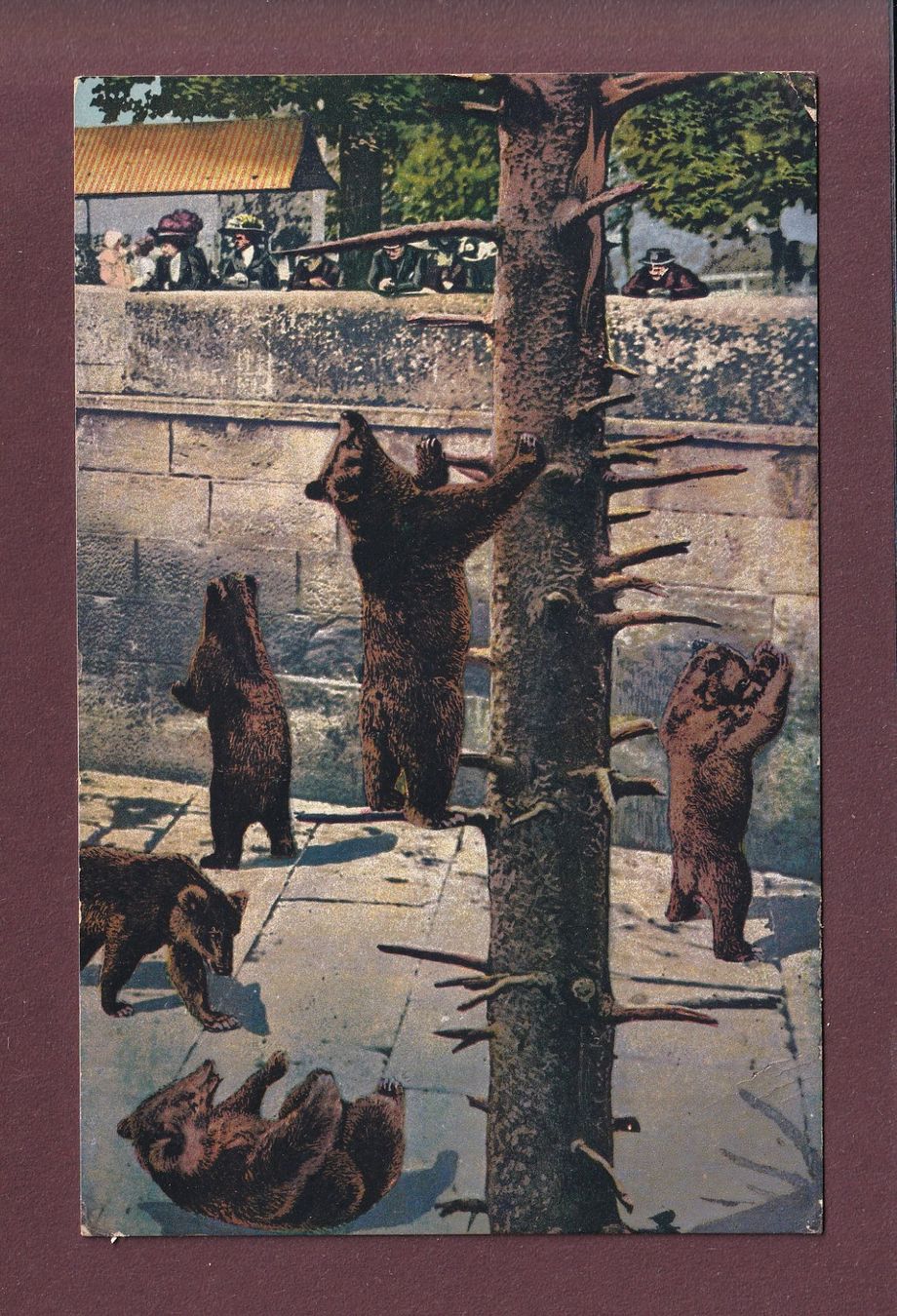 Cartoline postali: BERN - Bärengraben - 1920 – Usato da Pully venduto da nicecards