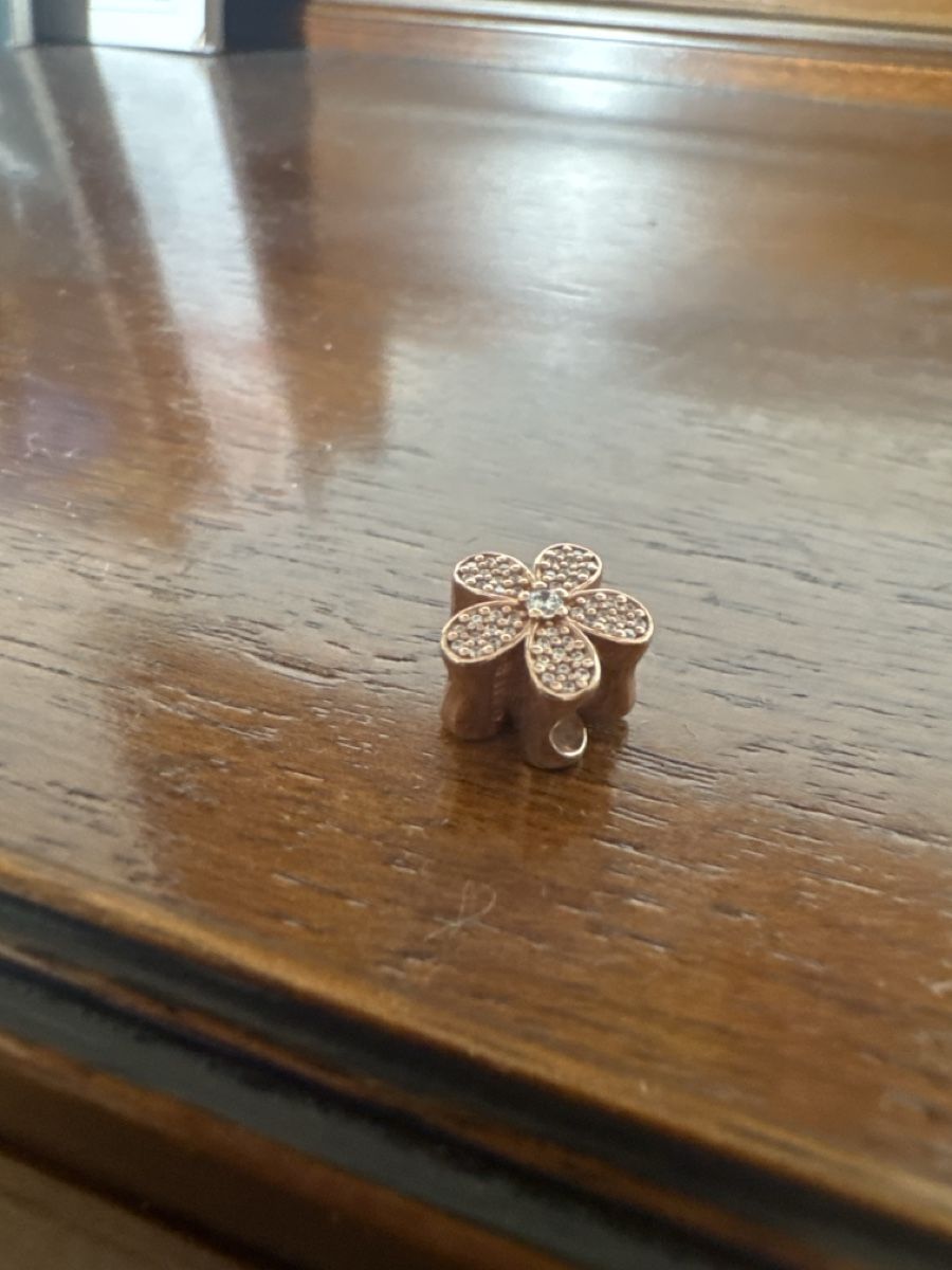 Pandora Ciondoli: Pandora Charms Rosé – Nuovo (secondo la descrizione) da Basel venduto da vogtladina02 2