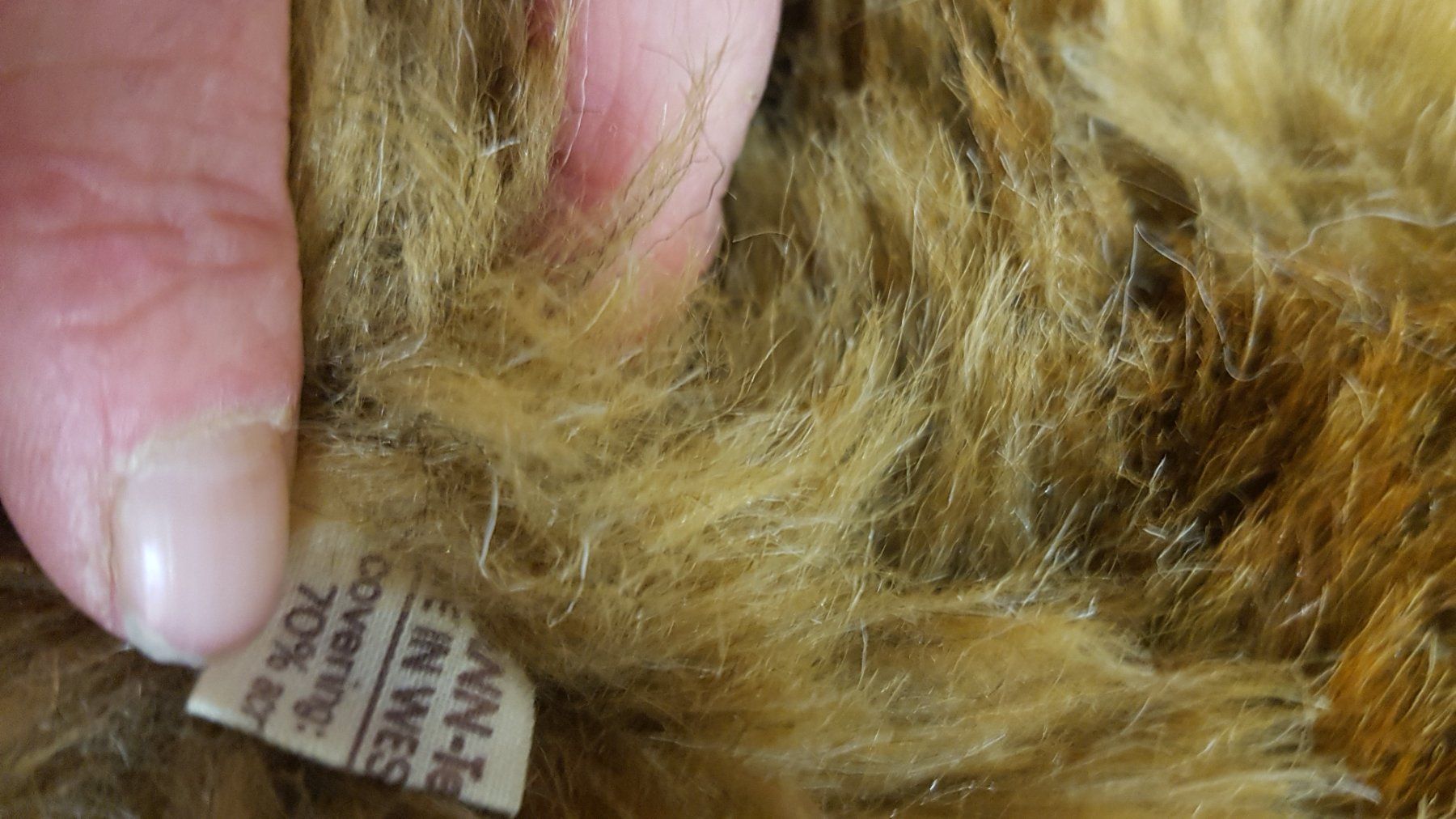 Giocattoli: Teddybär B15 – Usato da Schwarzenburg venduto da Flamingo07 2