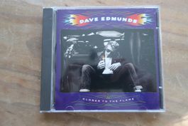 DAVE EDMUNDS - CLOSER TO THE FLAME - CD